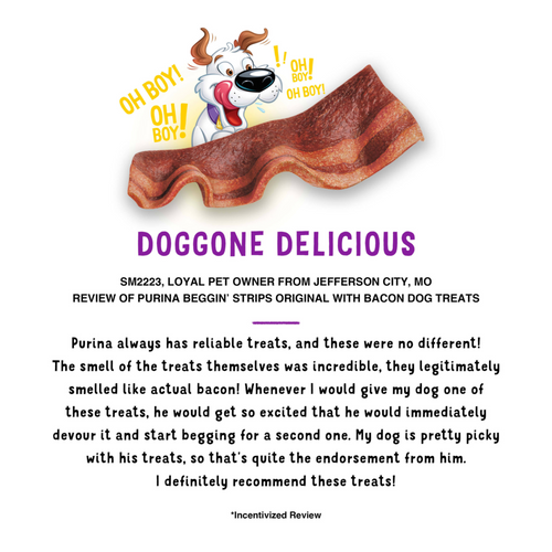 Beggin Strips' Strips Bacon Dog Treats