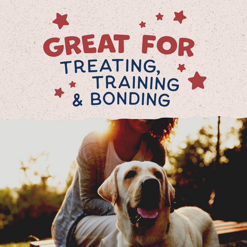 Natural Balance Rewards Crunchy Biscuits Dog Treats for Small Breeds with Real Bison