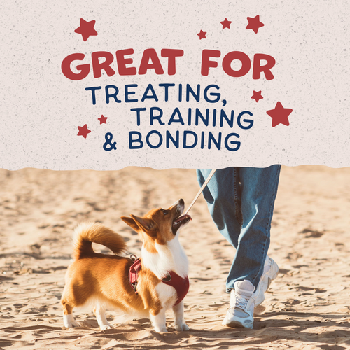 Natural Balance Rewards Crunchy Biscuits Dog Treats for Small Breeds with Real Bison