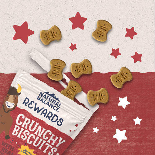 Natural Balance Rewards Crunchy Biscuits Dog Treats for Small Breeds with Real Bison