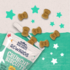 Natural Balance Rewards Crunchy Biscuits Dog Treats for Small Breeds with Real Chicken