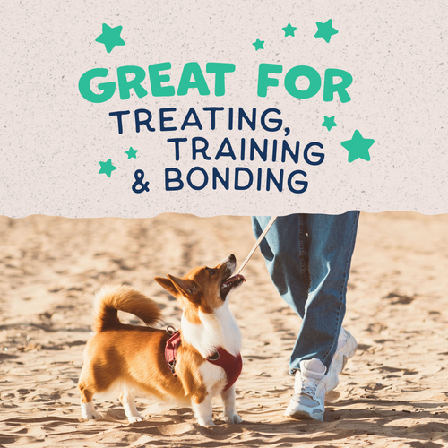 Natural Balance Rewards Crunchy Biscuits Dog Treats for Small Breeds with Real Chicken