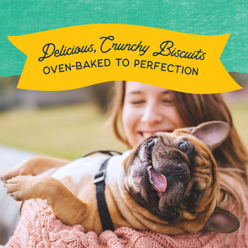 Natural Balance Rewards Crunchy Biscuits Dog Treats for Small Breeds with Real Chicken