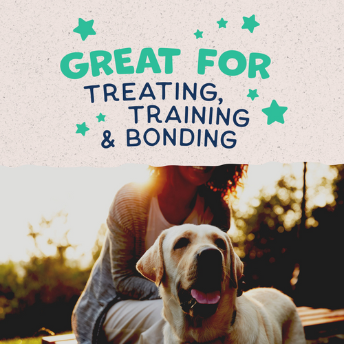 Natural Balance Rewards Crunchy Biscuits Dog Treats for Small Breeds with Real Chicken