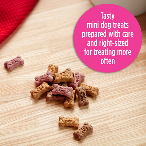 Milk-Bone Flavor Snacks Mini Dog Treat