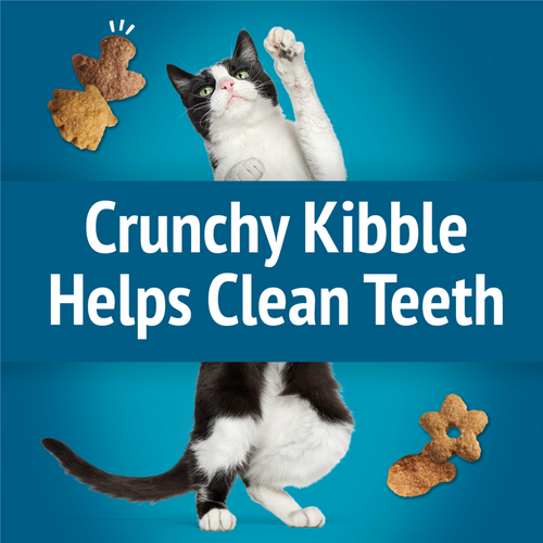 Purina Friskies Party Mix Beachside Crunch Cat Treats