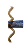 Nature's Own USA Jumbo Pizzle Swizzle Low Odor Bully Stick