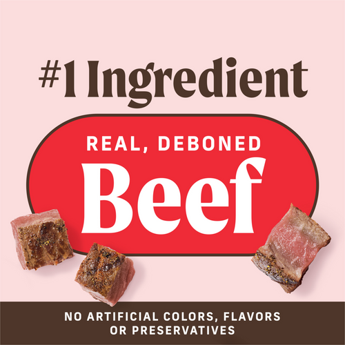 Merrick Power Bites Real Texas Beef Recipe Dog Treats