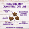 Wellness Kittles Crunchy Chicken & Cranberry Cat Treats