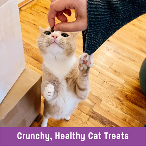 Wellness Kittles Crunchy Chicken & Cranberry Cat Treats