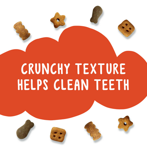 Purina Friskies Party Mix Crunch Original Chicken Liver and Turkey Cat Treats Canister