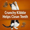 Friskies Party Mix Chicken Lovers Crunch Cat Treats Canister