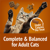 Friskies Party Mix Chicken Lovers Crunch Cat Treats Canister