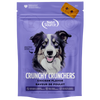 NutriSource Grain Free Chicken Biscuits Dog Treats
