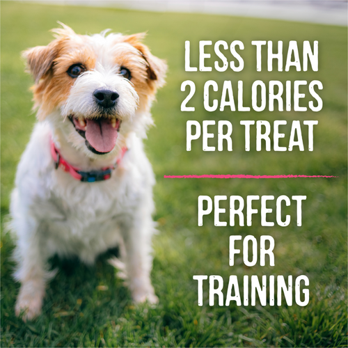 Merrick Lil' Plates Salmon Small Breed Dog Training Treats