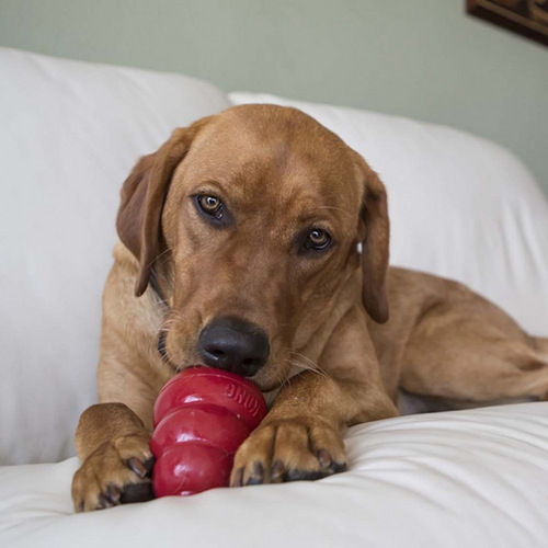 Kong Stuff'n Snacks Liver Recipe Dog Treats