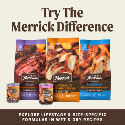 Merrick Power Bites Grain Free Salmon Dog Treats