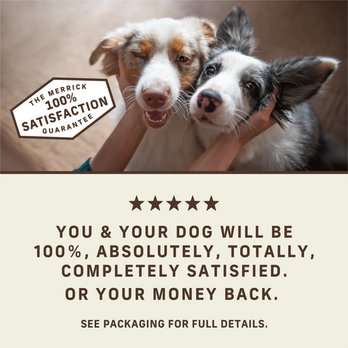 Merrick Power Bites Grain Free Salmon Dog Treats