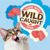 Friskies Party Mix Natural Tuna Cat Treats