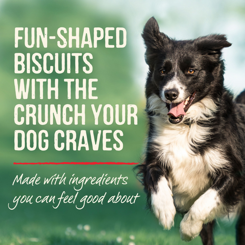 Merrick Turducken Oven Baked Dog Treats
