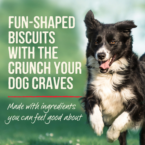 Merrick Pumpkin Patch Oven Baked Dog Treats