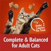 Friskies Party Mix Crunch Gravylicious Chicken & Gravy Cat Treats