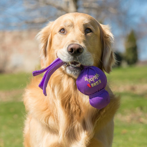 Kong Wubba Classic Dog Toy