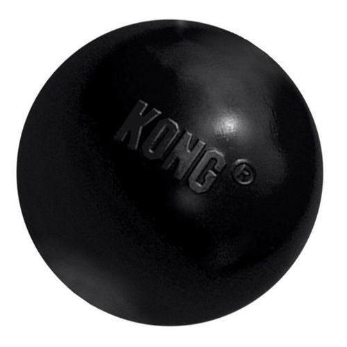 Kong Extreme Ball Dog Toy