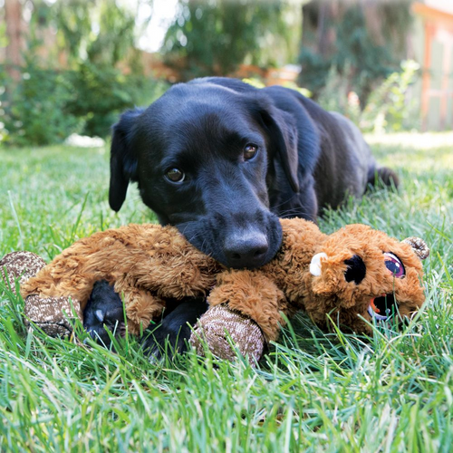 Kong Low Stuff Flopzie Beaver Dog Toy Dog Toy