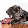 Kong Wubba Finz Dog Toy