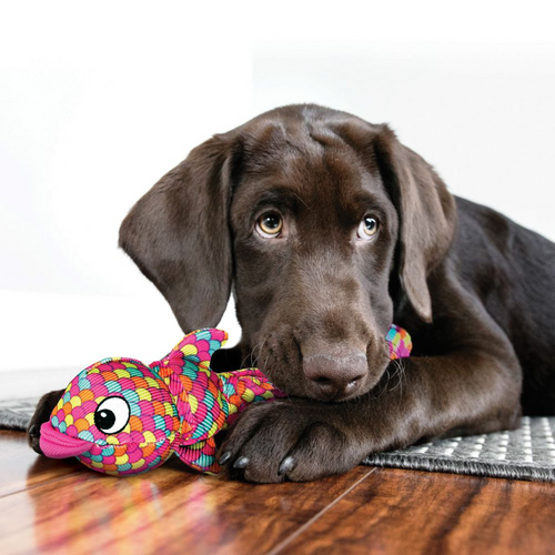 Kong Wubba Finz Dog Toy