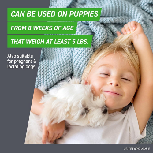 Frontline Plus for Dogs