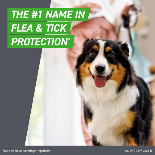 Frontline Plus for Dogs