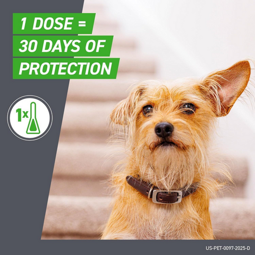 Frontline Plus for Dogs