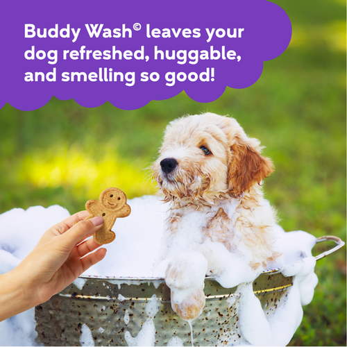 Cloud Star Buddy Wash Original Lavender & Mint Dog Shampoo & Conditioner