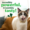 Feline Greenies Adult Dental Catnip Flavor Cat Treats