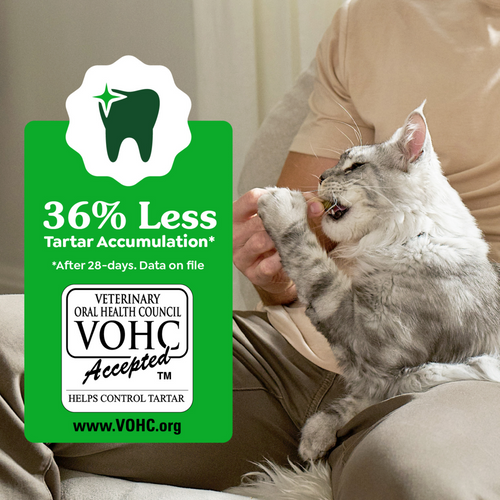 Feline Greenies Adult Natural Dental Care Oven Roasted Chicken Flavor Cat Treats