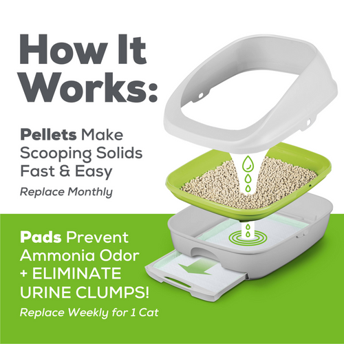 Tidy Cats Litter Box System, Breeze System Starter Kit Litter Box, Litter Pellets & Pads