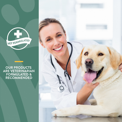 NaturVet Moderate Care Glucosamine DS Plus Soft Chews Joint Supplement for Dogs