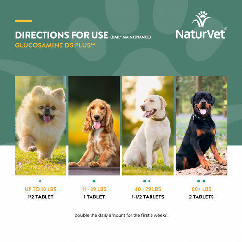 NaturVet Moderate Care Glucosamine DS Plus Soft Chews Joint Supplement for Dogs