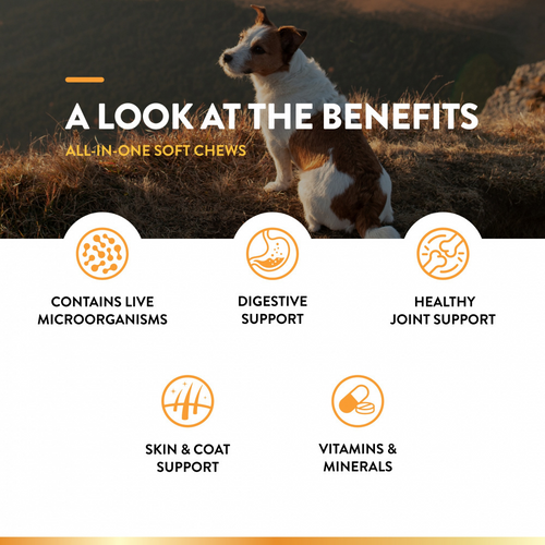 NaturVet All-In-One Functional Soft Chews for Dogs