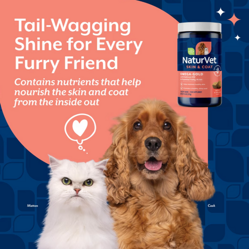 NaturVet Omega Gold plus Salmon Oil Functional Soft Chews for Dogs