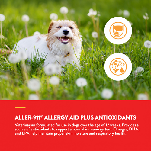 NaturVet Allergy Aid plus Antioxidants Functional Soft Chews for Dogs