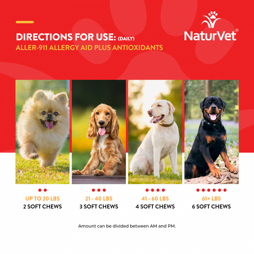 NaturVet Allergy Aid plus Antioxidants Functional Soft Chews for Dogs