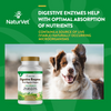 NaturVet Digestive Enzymes plus Probiotic Functional Soft Chews for Dogs