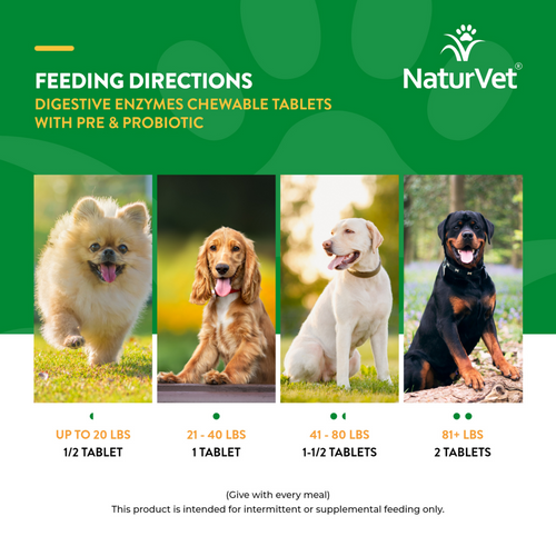 NaturVet Digestive Enzymes plus Probiotic Functional Soft Chews for Dogs