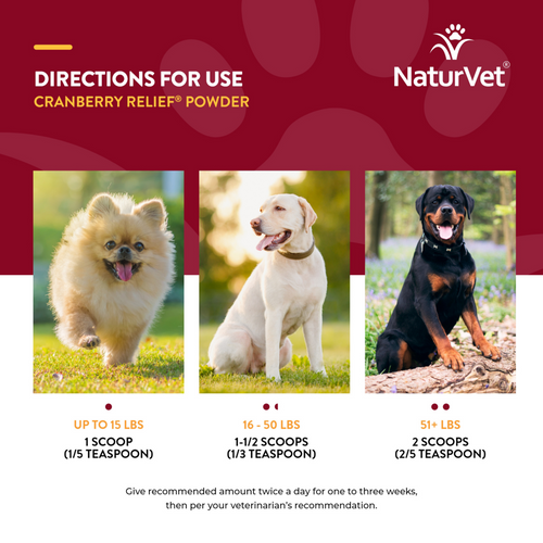 NaturVet Cranberry Relief plus Echinacea Functional Soft Chews for Dogs