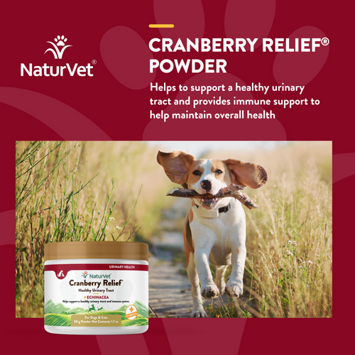 NaturVet Cranberry Relief plus Echinacea Functional Soft Chews for Dogs