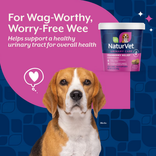 NaturVet Cranberry Relief plus Echinacea Functional Soft Chews for Dogs