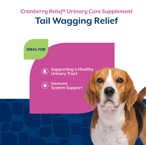 NaturVet Cranberry Relief plus Echinacea Functional Soft Chews for Dogs